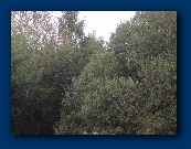 TX C aerial - over the water as well